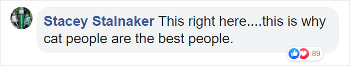 Some People Started Filing Complaints About A Stray Kitty Roaming This Law Firm So They Hired Him Some People Started Filing Complaints About A Stray Kitty Roaming This Law Firm So They Hired Him