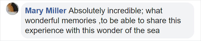 This Giant Humpback Whale Breached Out Of The Ocean, And People Watching It Probably Got Spooked Out This Giant Humpback Whale Breached Out Of The Ocean, And People Watching It Probably Got Spooked Out
