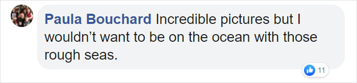 This Giant Humpback Whale Breached Out Of The Ocean, And People Watching It Probably Got Spooked Out This Giant Humpback Whale Breached Out Of The Ocean, And People Watching It Probably Got Spooked Out