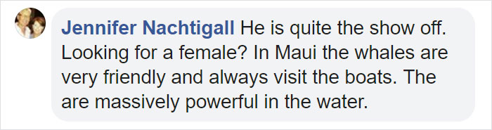 This Giant Humpback Whale Breached Out Of The Ocean, And People Watching It Probably Got Spooked Out This Giant Humpback Whale Breached Out Of The Ocean, And People Watching It Probably Got Spooked Out