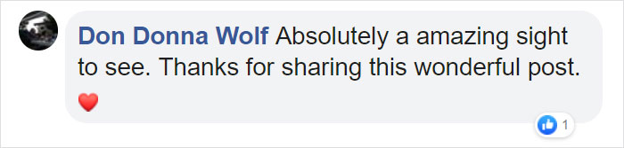 This Giant Humpback Whale Breached Out Of The Ocean, And People Watching It Probably Got Spooked Out This Giant Humpback Whale Breached Out Of The Ocean, And People Watching It Probably Got Spooked Out