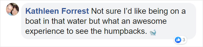 This Giant Humpback Whale Breached Out Of The Ocean, And People Watching It Probably Got Spooked Out This Giant Humpback Whale Breached Out Of The Ocean, And People Watching It Probably Got Spooked Out