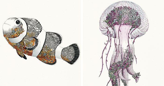 I Draw Illustrations To Support The Conservation Of The Great Barrier Reef (8 Pics)