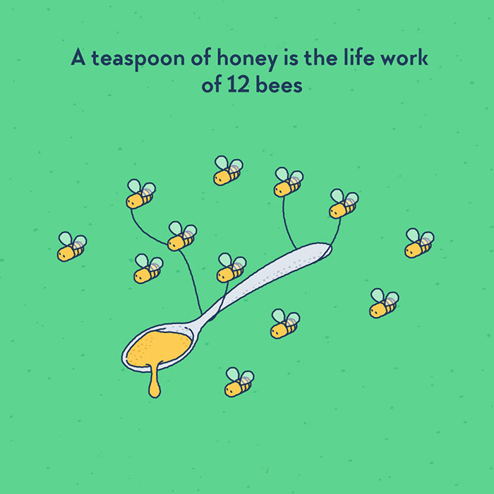 We Illustrated 40 Of The Most Fascinating Facts About Our World