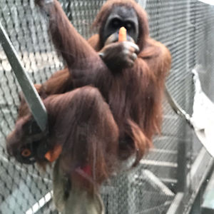 wayne1_roberts avatar