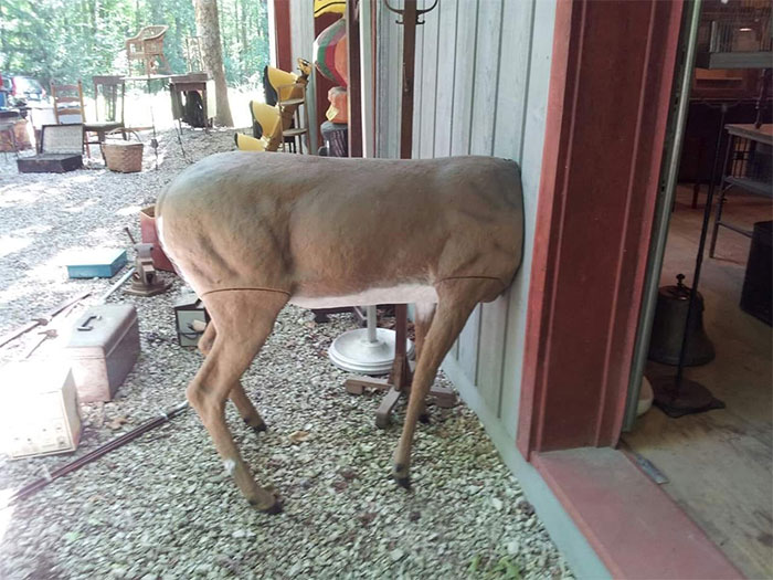 Found This Gem About 5 Years Ago At A Random Yard Sale In The Middle Of Nowhere. It Did Not Come Home With Me