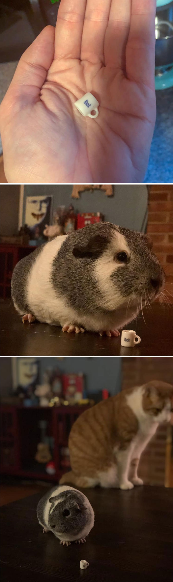 I Don’t Even Know A Rick, I Just Thought For A Quarter It Was Too Cute To Pass Up. Provided Several Size References