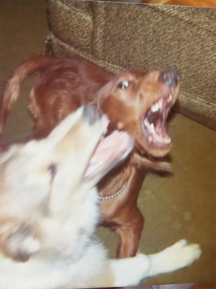 This Photograph Was Stuck In A Stack Of Vinyl Records I Bought At A Thrift Shop. Makes Me Laugh Every Time I Look At It