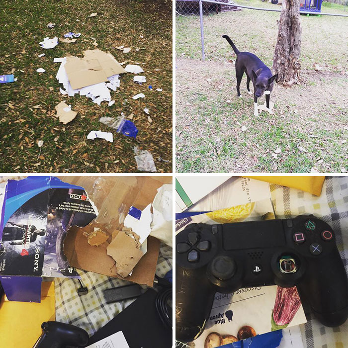 Bought A Ps4 Slim Online. FedEx Driver Must Have Felt Real Smart Leaving It In The Backyard. In The Rain. With 3 Dogs