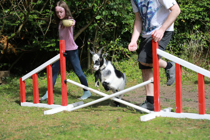 Meet Our Animals Who Help Special Needs Children In Ways That We, Humans, Struggle To Meet Our Animals Who Help Special Needs Children In Ways That We, Humans, Struggle To