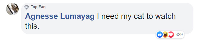 This Adorable Netflix Dogumentary Follows 5 Labrador Puppies' Training To Become Pawsome Guide Dogs This Adorable Netflix Dogumentary Follows 5 Labrador Puppies' Training To Become Pawsome Guide Dogs