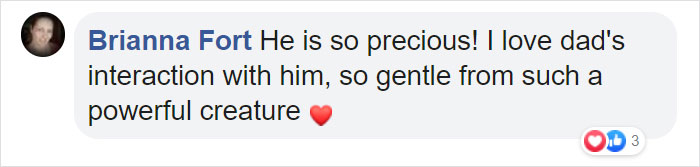 Dad Lion Crouches Down To Meet His Baby Cub For The First Time In This Adorable Video Dad Lion Crouches Down To Meet His Baby Cub For The First Time In This Adorable Video