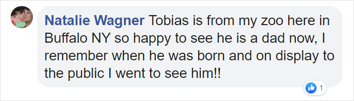 Dad Lion Crouches Down To Meet His Baby Cub For The First Time In This Adorable Video Dad Lion Crouches Down To Meet His Baby Cub For The First Time In This Adorable Video