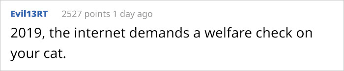 Good News, Everyone - Loops The Cat Is Alive And Well