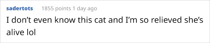 Good News, Everyone - Loops The Cat Is Alive And Well Good News, Everyone - Loops The Cat Is Alive And Well