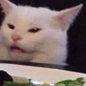 ivystephenson avatar