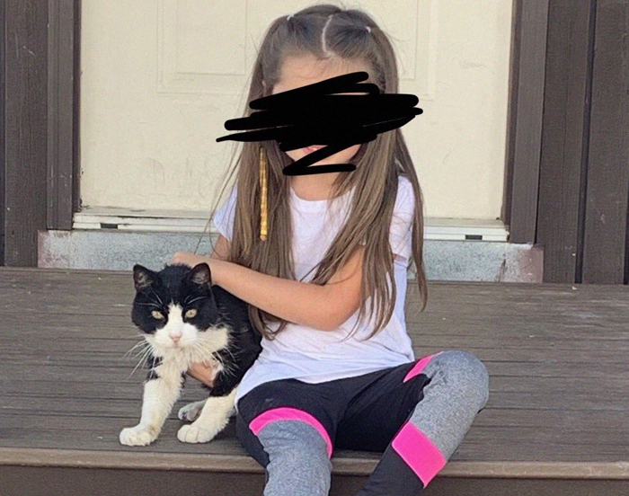 Missing Cat Is Brought Home After 5 Years, Still Recognizes Its Owner