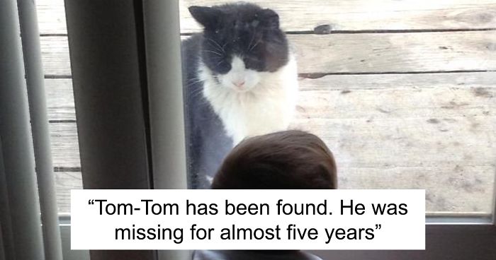 Missing Cat Is Brought Home After 5 Years, Still Recognizes Its Owner