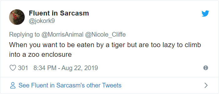 After People Went Crazy Over This 26lb Chonky Cat, He Finally Gets Adopted After People Went Crazy Over This 26lb Chonky Cat, He Finally Gets Adopted