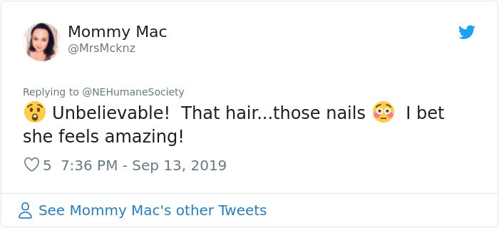 Dog That Couldn't Even Move Due To Extremely Matted Fur Gets A Life-Saving Makeover Dog That Couldn't Even Move Due To Extremely Matted Fur Gets A Life-Saving Makeover