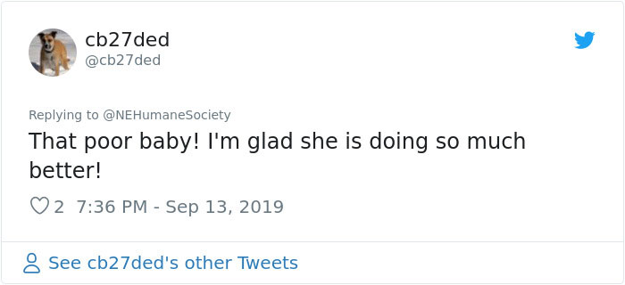 Dog That Couldn't Even Move Due To Extremely Matted Fur Gets A Life-Saving Makeover Dog That Couldn't Even Move Due To Extremely Matted Fur Gets A Life-Saving Makeover