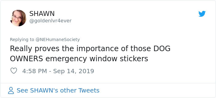 Dog That Couldn't Even Move Due To Extremely Matted Fur Gets A Life-Saving Makeover Dog That Couldn't Even Move Due To Extremely Matted Fur Gets A Life-Saving Makeover