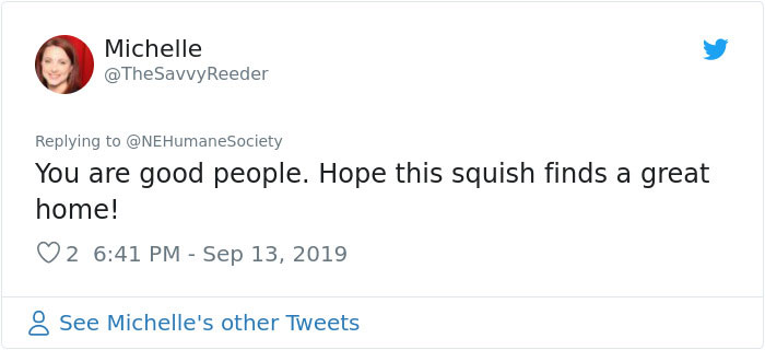 Dog That Couldn't Even Move Due To Extremely Matted Fur Gets A Life-Saving Makeover