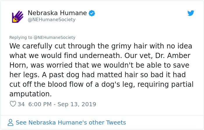 Dog That Couldn't Even Move Due To Extremely Matted Fur Gets A Life-Saving Makeover Dog That Couldn't Even Move Due To Extremely Matted Fur Gets A Life-Saving Makeover