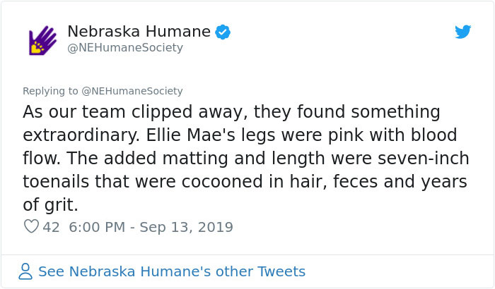 Dog That Couldn't Even Move Due To Extremely Matted Fur Gets A Life-Saving Makeover Dog That Couldn't Even Move Due To Extremely Matted Fur Gets A Life-Saving Makeover