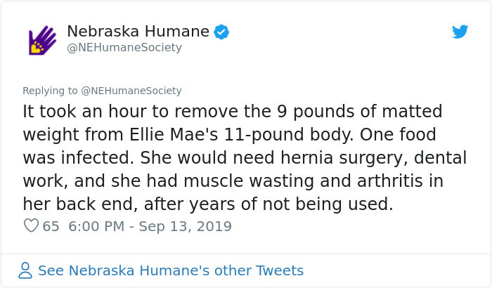 Dog That Couldn't Even Move Due To Extremely Matted Fur Gets A Life-Saving Makeover Dog That Couldn't Even Move Due To Extremely Matted Fur Gets A Life-Saving Makeover