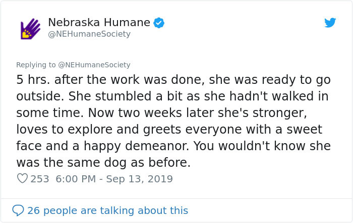 Dog That Couldn't Even Move Due To Extremely Matted Fur Gets A Life-Saving Makeover Dog That Couldn't Even Move Due To Extremely Matted Fur Gets A Life-Saving Makeover