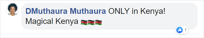 This Baby Zebra Was Born With Spots Instead Of Stripes