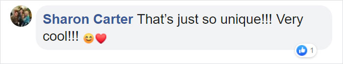 This Baby Zebra Was Born With Spots Instead Of Stripes