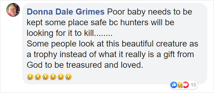 This Baby Zebra Was Born With Spots Instead Of Stripes This Baby Zebra Was Born With Spots Instead Of Stripes