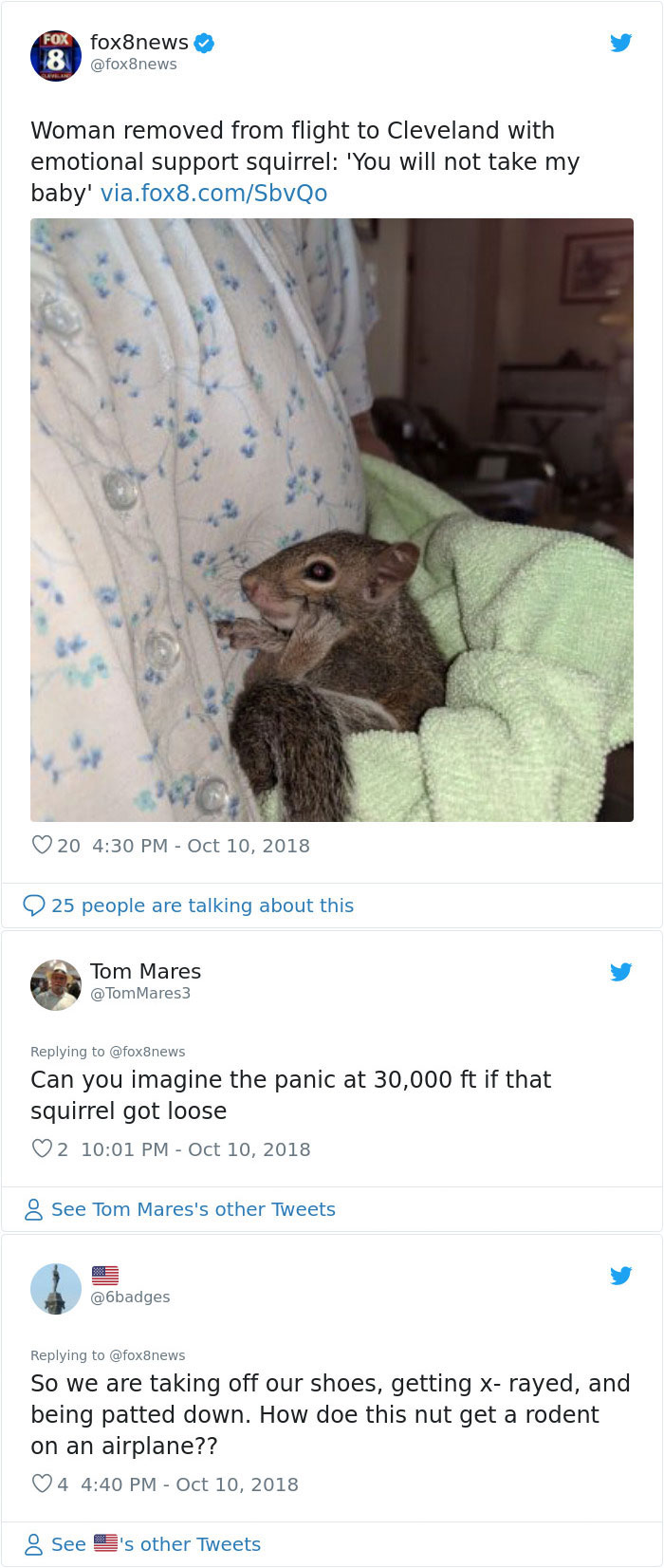 Woman Removed From Flight To Cleveland With Emotional Support Squirrel: 'You Will Not Take My Baby'