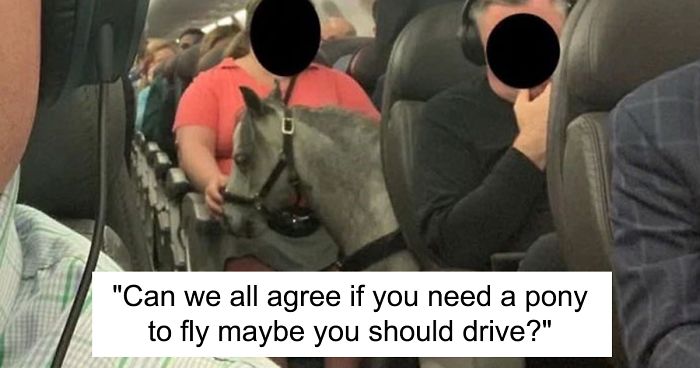 People Are Saying That These People Have Gone Too Far With Their Emotional Support Animals, Others Disagree (17 Pics)