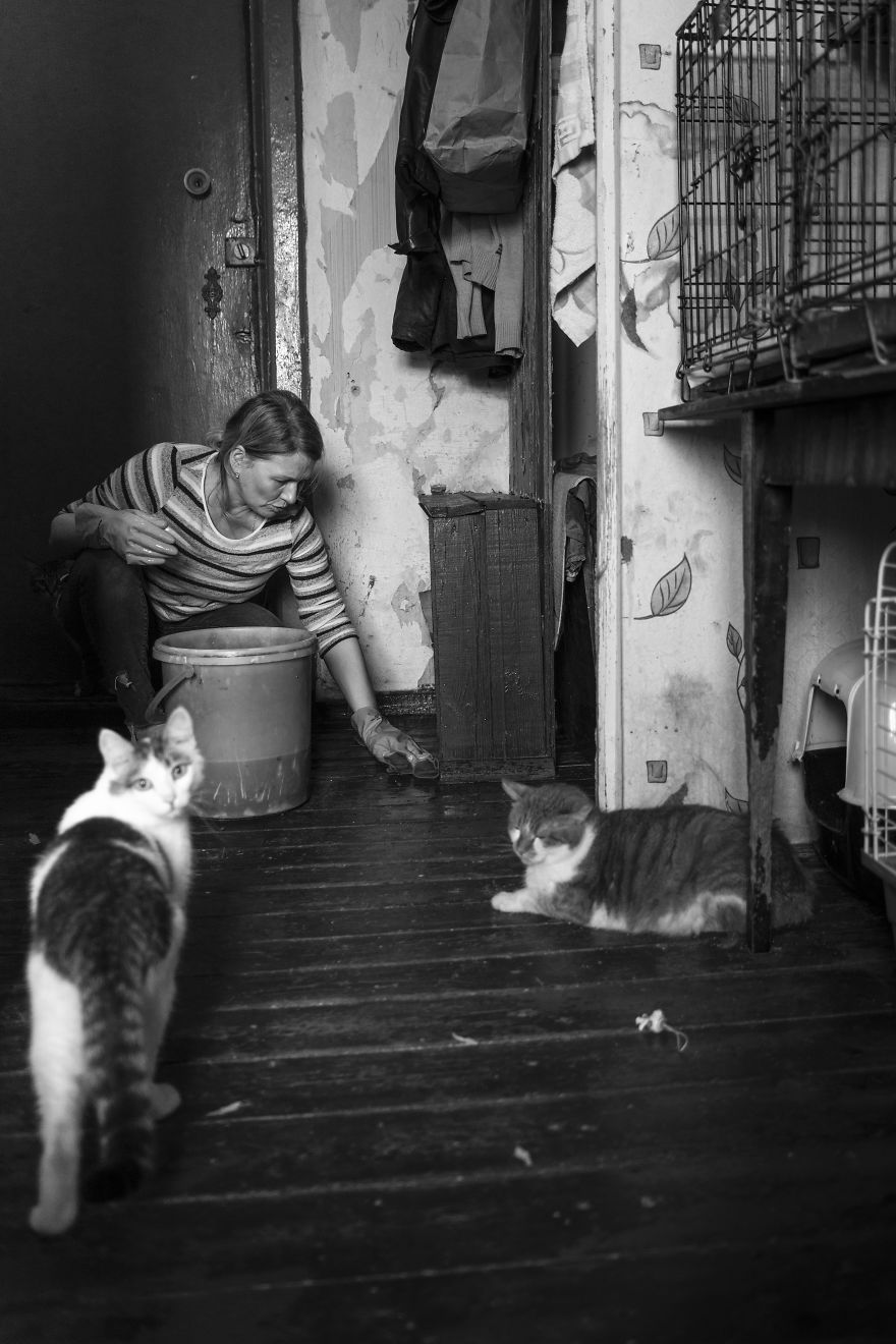 I Capture A Heartbreaking Story About A Woman That Dedicated Her Life To Stray Cats Despite Her Own Hardships I Capture A Heartbreaking Story About A Woman That Dedicated Her Life To Stray Cats Despite Her Own Hardships