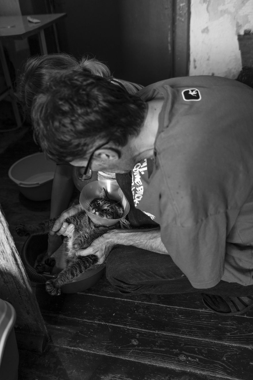 I Capture A Heartbreaking Story About A Woman That Dedicated Her Life To Stray Cats Despite Her Own Hardships I Capture A Heartbreaking Story About A Woman That Dedicated Her Life To Stray Cats Despite Her Own Hardships