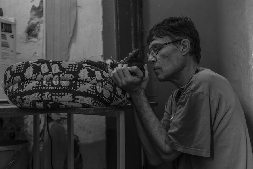 I Capture A Heartbreaking Story About A Woman That Dedicated Her Life To Stray Cats Despite Her Own Hardships
