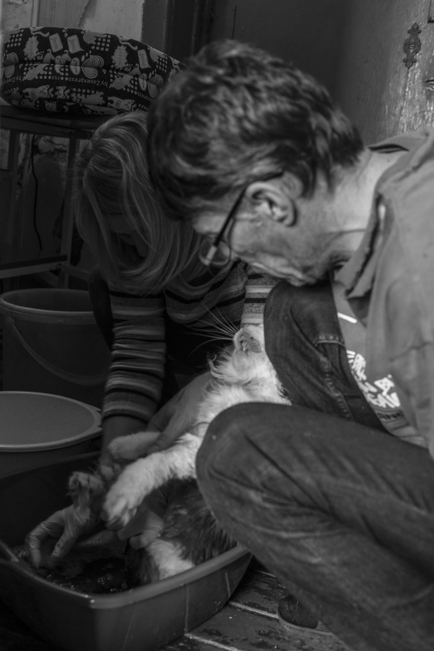 I Capture A Heartbreaking Story About A Woman That Dedicated Her Life To Stray Cats Despite Her Own Hardships I Capture A Heartbreaking Story About A Woman That Dedicated Her Life To Stray Cats Despite Her Own Hardships