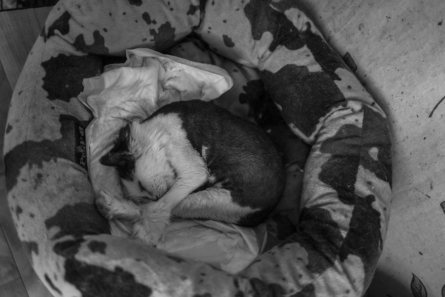 I Capture A Heartbreaking Story About A Woman That Dedicated Her Life To Stray Cats Despite Her Own Hardships I Capture A Heartbreaking Story About A Woman That Dedicated Her Life To Stray Cats Despite Her Own Hardships