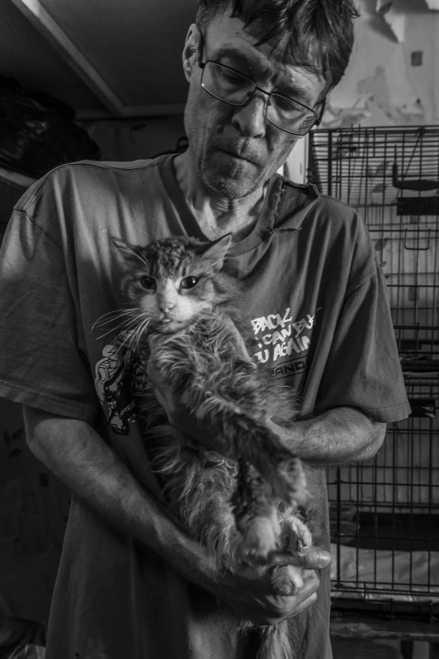 I Capture A Heartbreaking Story About A Woman That Dedicated Her Life To Stray Cats Despite Her Own Hardships I Capture A Heartbreaking Story About A Woman That Dedicated Her Life To Stray Cats Despite Her Own Hardships