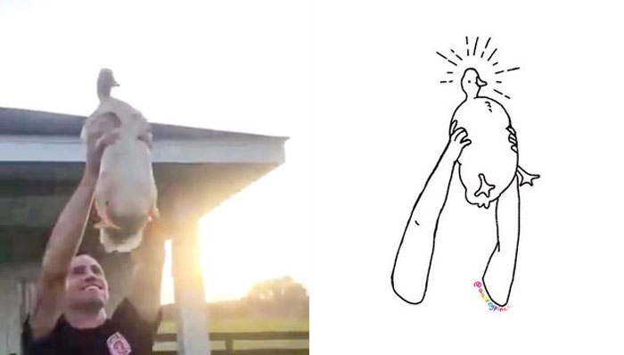 Funny-Poorly-Drawn-Animals-Poorlydraws