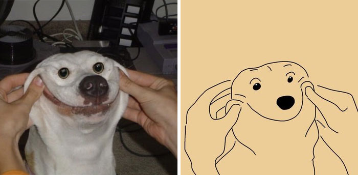 Funny-Poorly-Drawn-Animals-Poorlydraws
