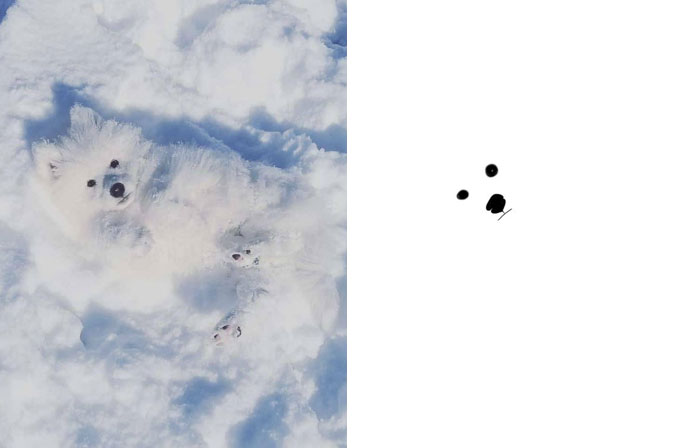 Funny-Poorly-Drawn-Animals-Poorlydraws