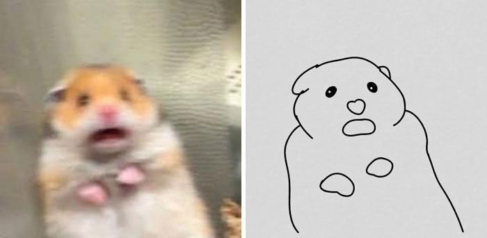 Funny-Poorly-Drawn-Animals-Poorlydraws