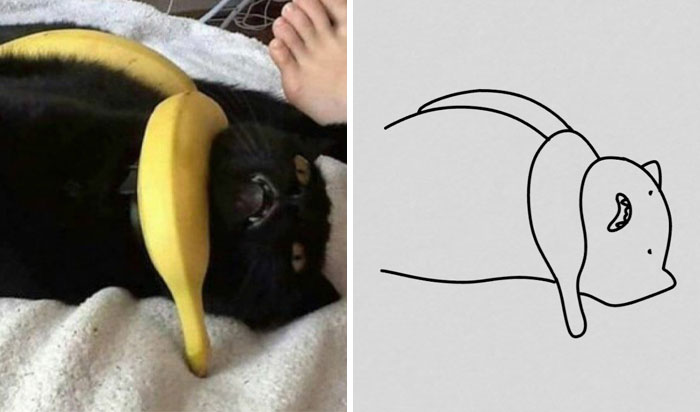 Funny-Poorly-Drawn-Animals-Poorlydraws