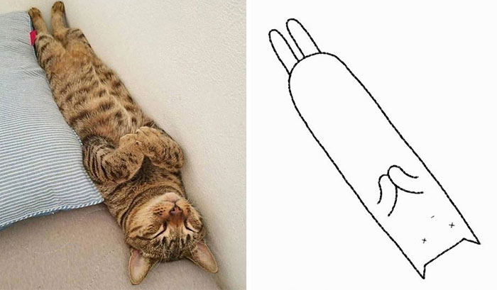 Funny-Poorly-Drawn-Animals-Poorlydraws