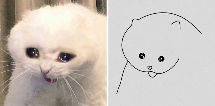 Funny-Poorly-Drawn-Animals-Poorlydraws