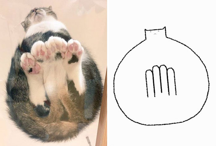 Funny-Poorly-Drawn-Animals-Poorlydraws